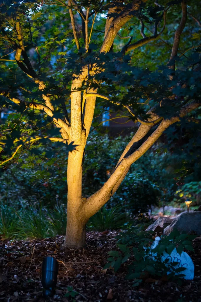 trees