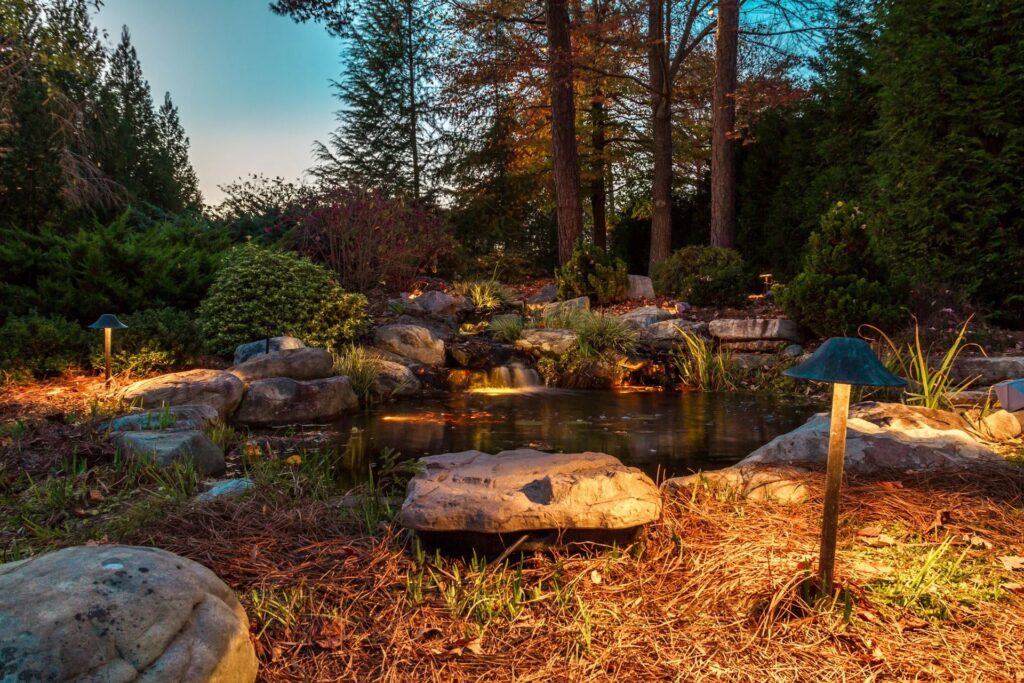 pond lighting
