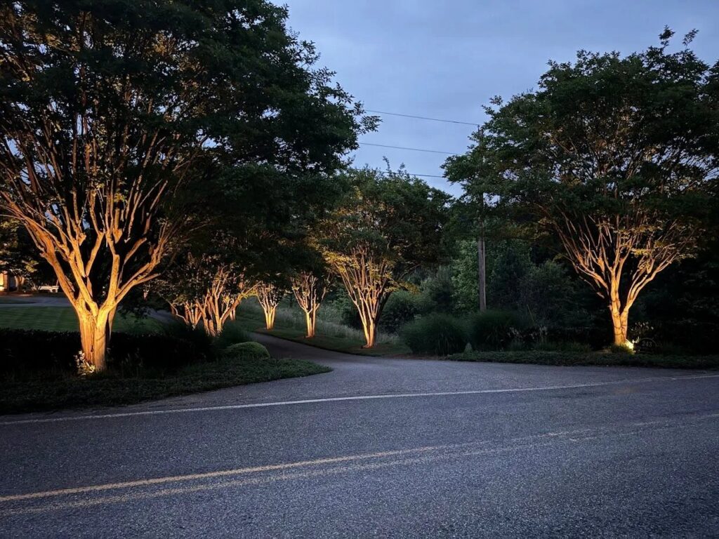 smart outdoor lighting